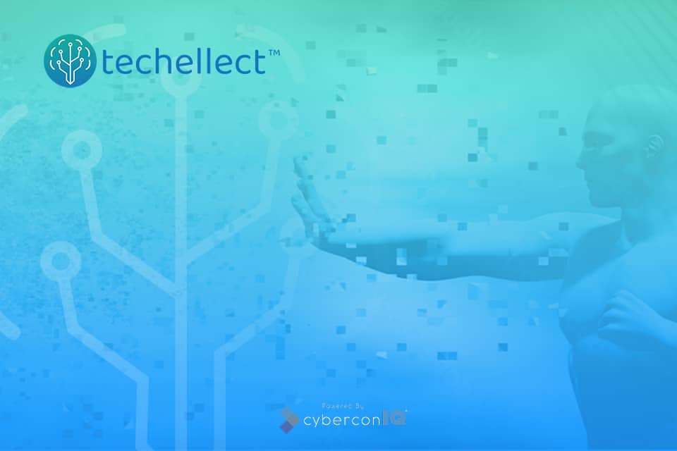 techellect - artificial intelligence - Accuracy and Bias in Data